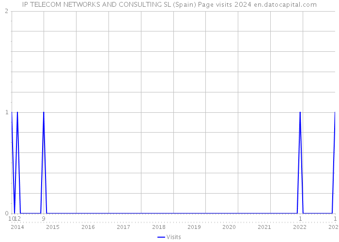 IP TELECOM NETWORKS AND CONSULTING SL (Spain) Page visits 2024 