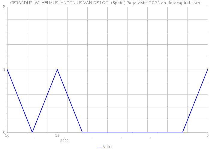 GERARDUS-WILHELMUS-ANTONIUS VAN DE LOOI (Spain) Page visits 2024 