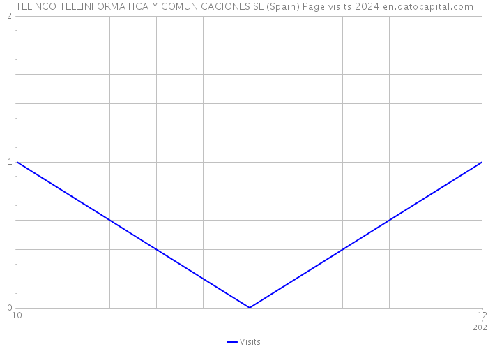 TELINCO TELEINFORMATICA Y COMUNICACIONES SL (Spain) Page visits 2024 