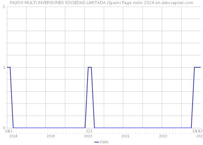 PAJOVI MULTI INVERSIONES SOCIEDAD LIMITADA (Spain) Page visits 2024 