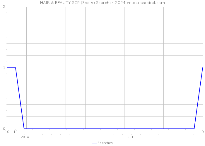 HAIR & BEAUTY SCP (Spain) Searches 2024 