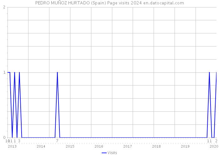 PEDRO MUÑOZ HURTADO (Spain) Page visits 2024 