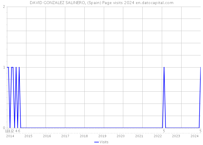 DAVID GONZALEZ SALINERO, (Spain) Page visits 2024 