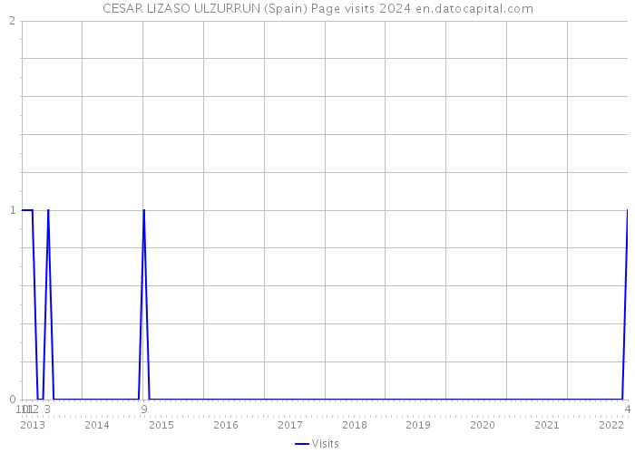 CESAR LIZASO ULZURRUN (Spain) Page visits 2024 