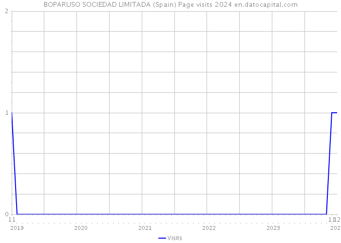 BOPARUSO SOCIEDAD LIMITADA (Spain) Page visits 2024 