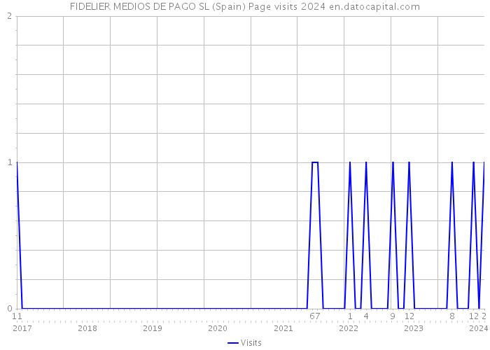 FIDELIER MEDIOS DE PAGO SL (Spain) Page visits 2024 