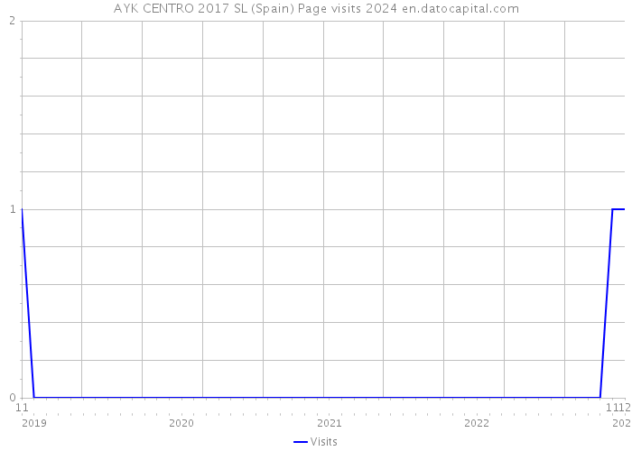 AYK CENTRO 2017 SL (Spain) Page visits 2024 