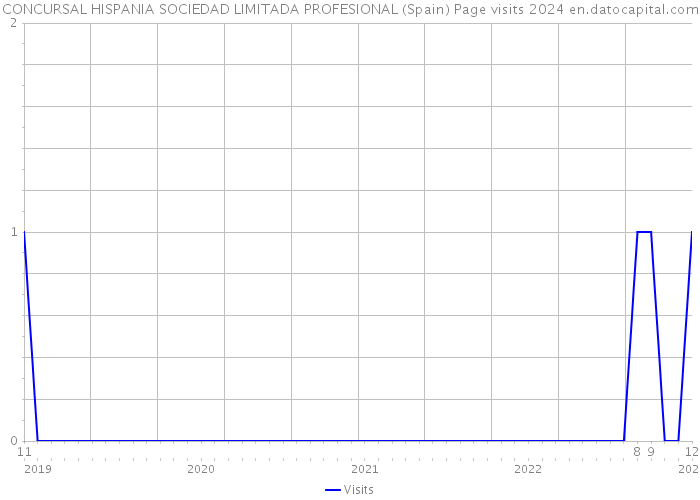 CONCURSAL HISPANIA SOCIEDAD LIMITADA PROFESIONAL (Spain) Page visits 2024 