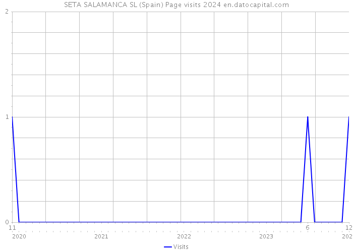 SETA SALAMANCA SL (Spain) Page visits 2024 