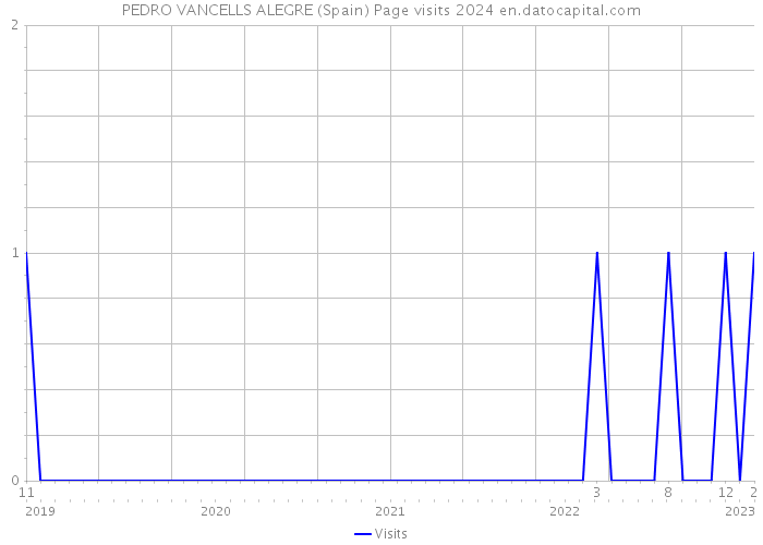 PEDRO VANCELLS ALEGRE (Spain) Page visits 2024 