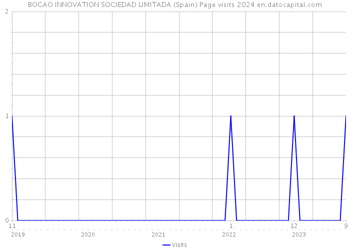 BOCAO INNOVATION SOCIEDAD LIMITADA (Spain) Page visits 2024 