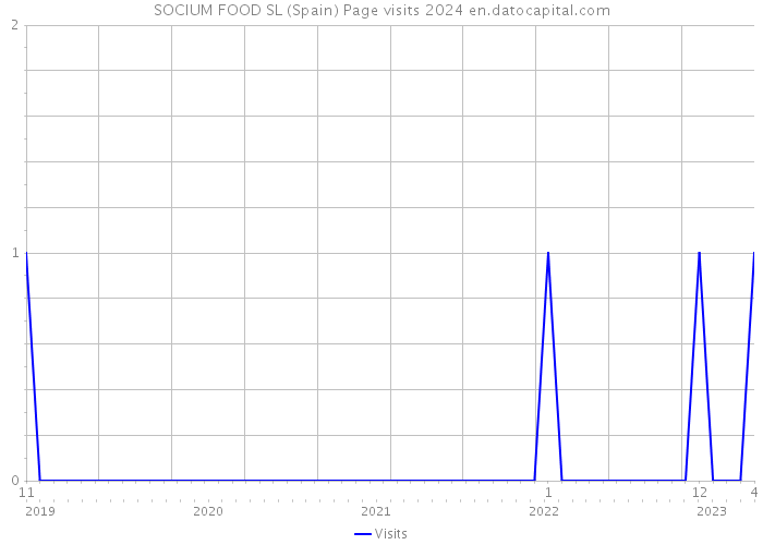 SOCIUM FOOD SL (Spain) Page visits 2024 