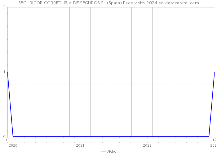SEGURICOR CORREDURIA DE SEGUROS SL (Spain) Page visits 2024 