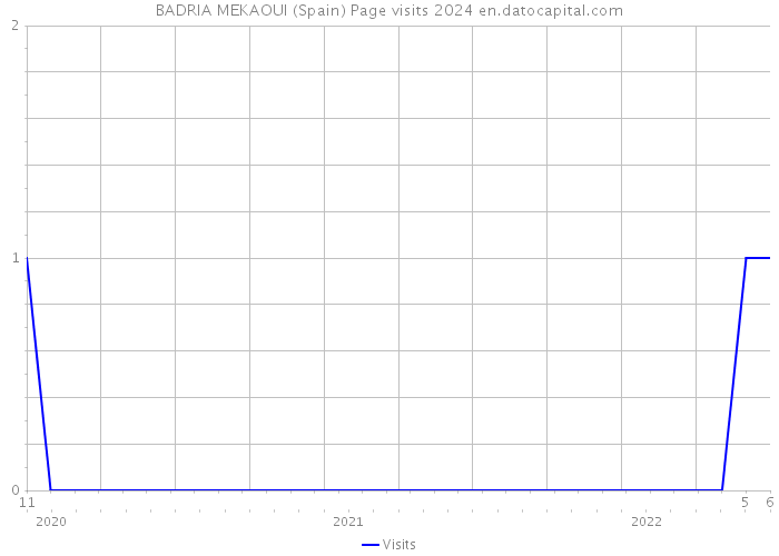 BADRIA MEKAOUI (Spain) Page visits 2024 