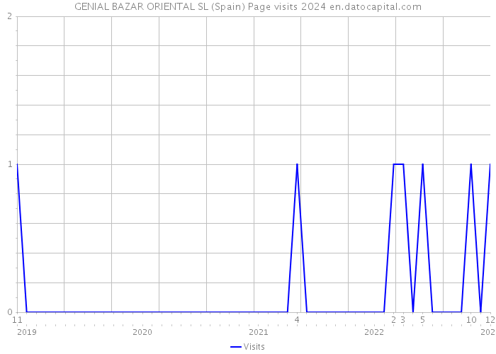 GENIAL BAZAR ORIENTAL SL (Spain) Page visits 2024 