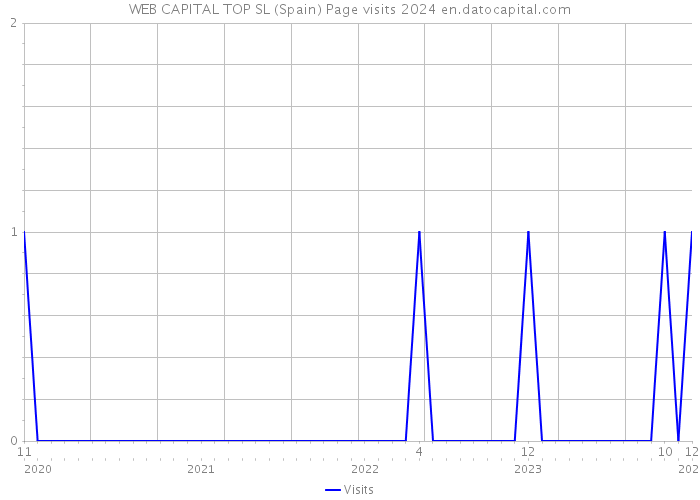 WEB CAPITAL TOP SL (Spain) Page visits 2024 