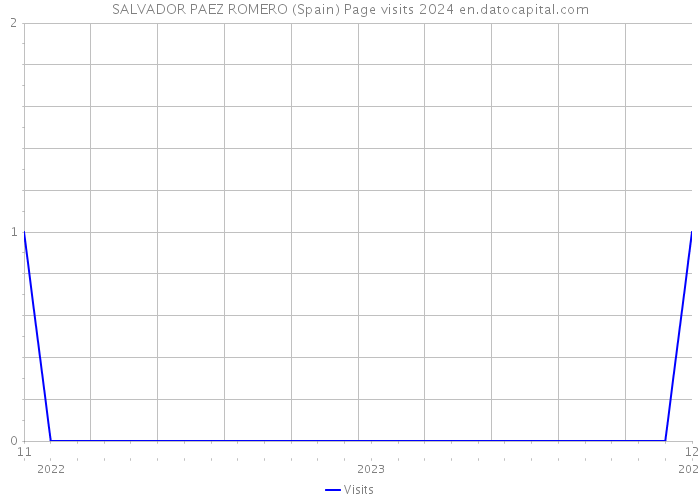 SALVADOR PAEZ ROMERO (Spain) Page visits 2024 