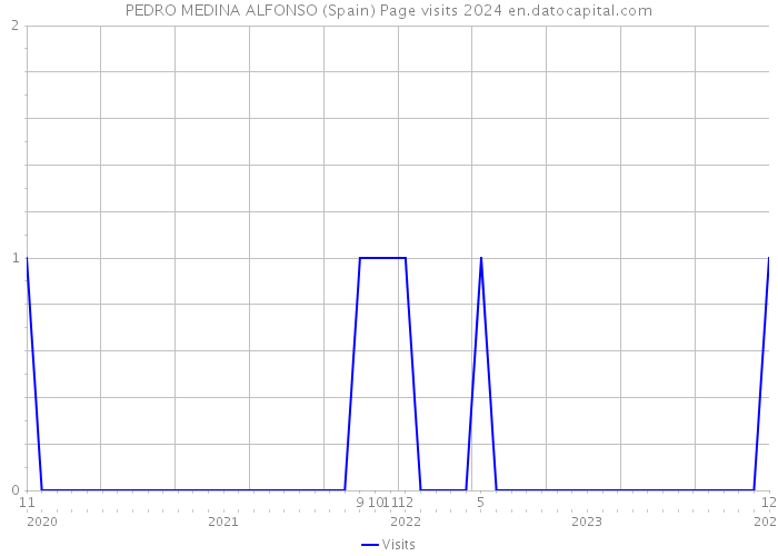 PEDRO MEDINA ALFONSO (Spain) Page visits 2024 