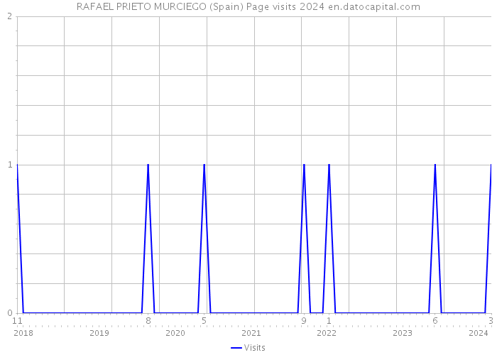 RAFAEL PRIETO MURCIEGO (Spain) Page visits 2024 