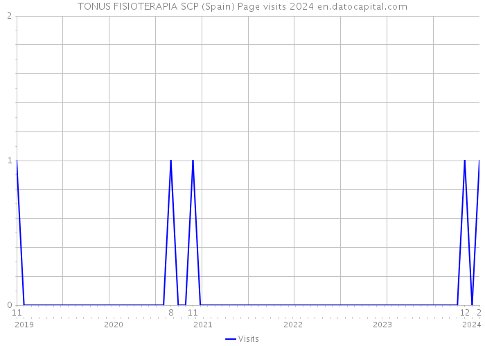 TONUS FISIOTERAPIA SCP (Spain) Page visits 2024 