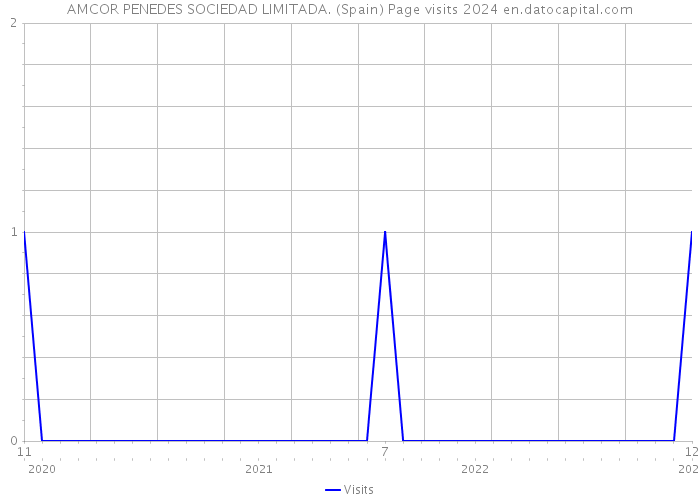 AMCOR PENEDES SOCIEDAD LIMITADA. (Spain) Page visits 2024 