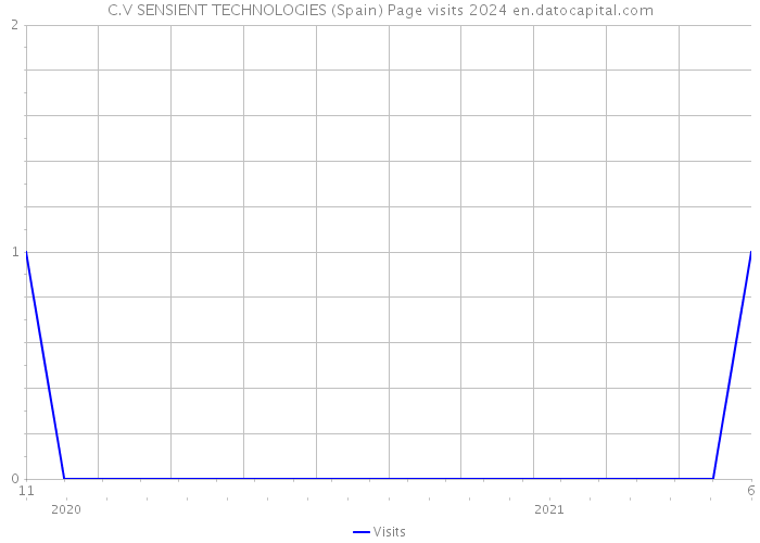 C.V SENSIENT TECHNOLOGIES (Spain) Page visits 2024 