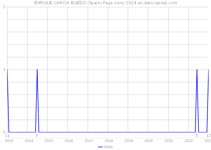 ENRIQUE GARCIA BUJEDO (Spain) Page visits 2024 
