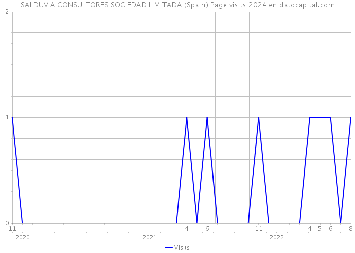 SALDUVIA CONSULTORES SOCIEDAD LIMITADA (Spain) Page visits 2024 