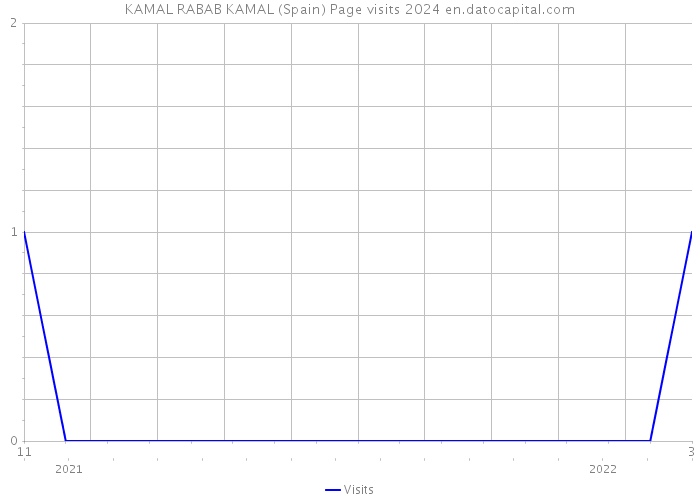 KAMAL RABAB KAMAL (Spain) Page visits 2024 