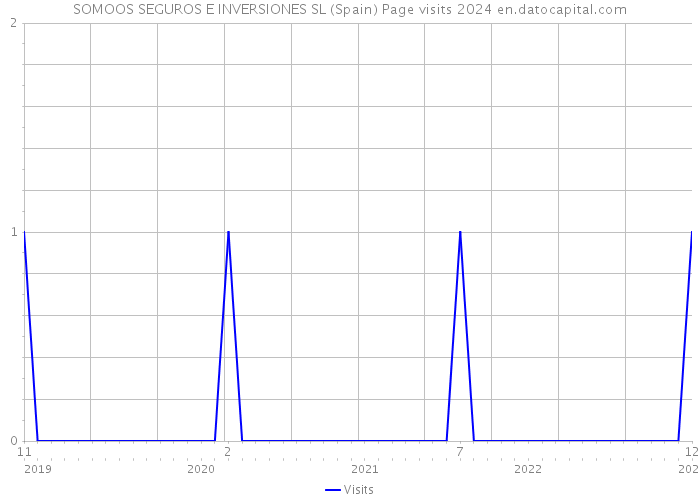 SOMOOS SEGUROS E INVERSIONES SL (Spain) Page visits 2024 