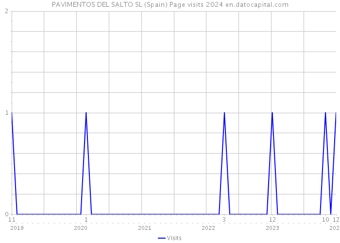 PAVIMENTOS DEL SALTO SL (Spain) Page visits 2024 