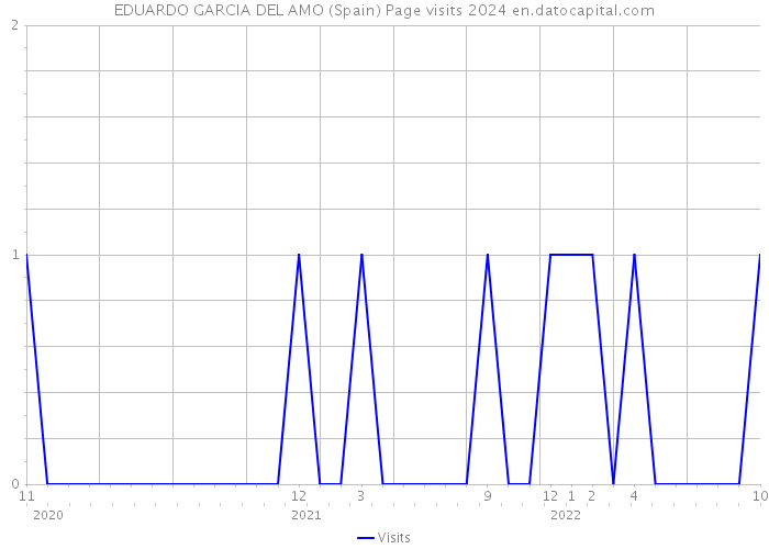 EDUARDO GARCIA DEL AMO (Spain) Page visits 2024 
