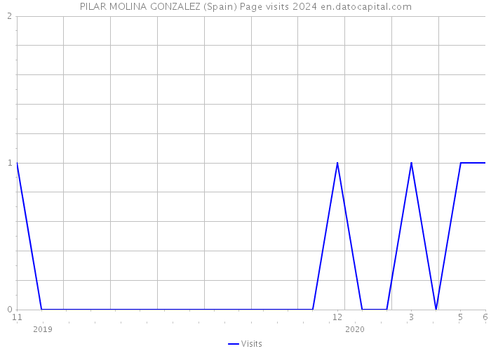 PILAR MOLINA GONZALEZ (Spain) Page visits 2024 