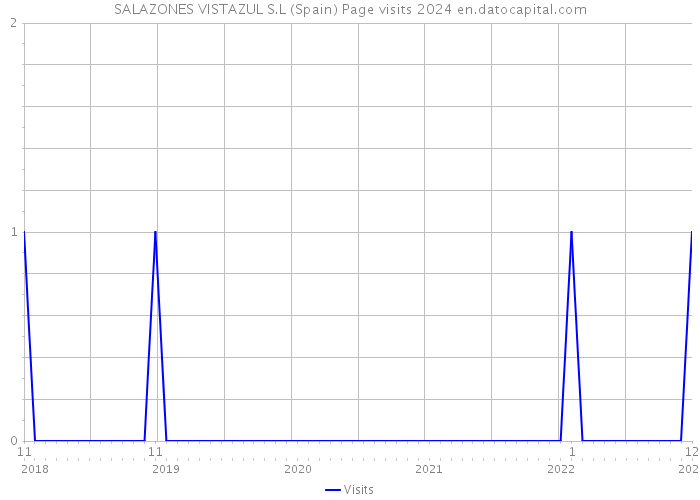 SALAZONES VISTAZUL S.L (Spain) Page visits 2024 