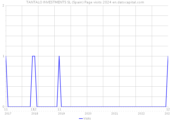 TANTALO INVESTMENTS SL (Spain) Page visits 2024 