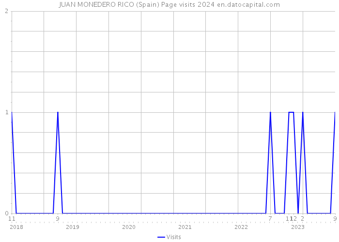 JUAN MONEDERO RICO (Spain) Page visits 2024 