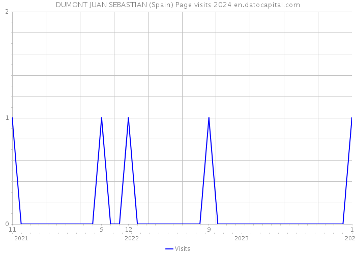 DUMONT JUAN SEBASTIAN (Spain) Page visits 2024 