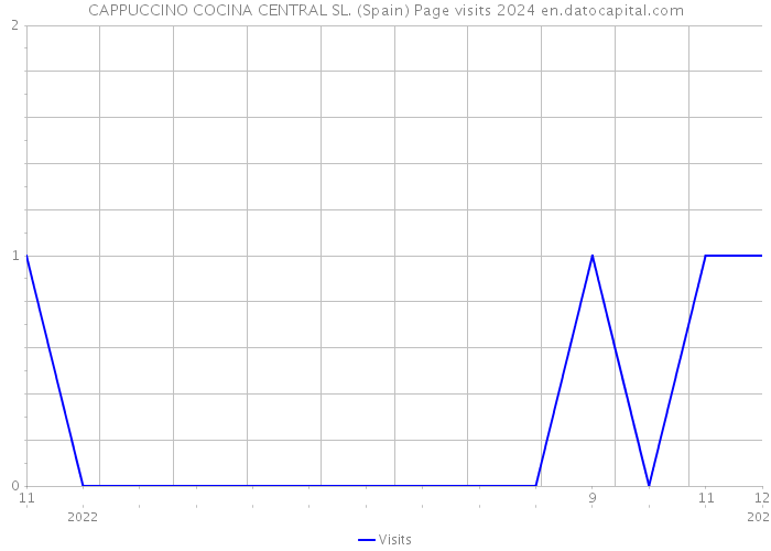 CAPPUCCINO COCINA CENTRAL SL. (Spain) Page visits 2024 