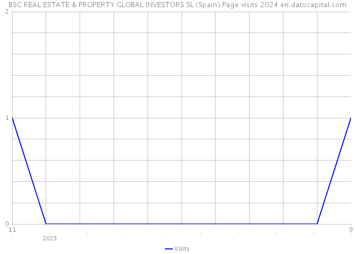 BSC REAL ESTATE & PROPERTY GLOBAL INVESTORS SL (Spain) Page visits 2024 