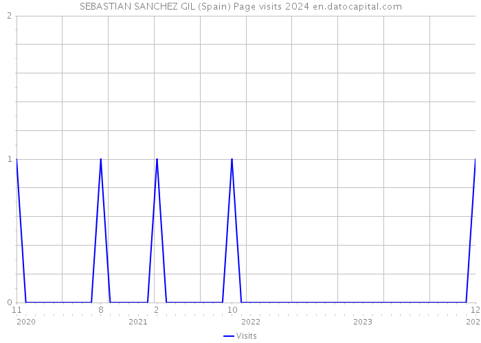 SEBASTIAN SANCHEZ GIL (Spain) Page visits 2024 