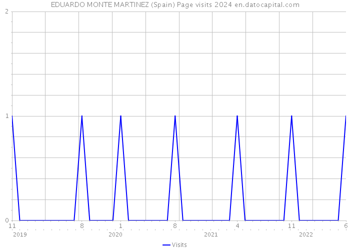 EDUARDO MONTE MARTINEZ (Spain) Page visits 2024 