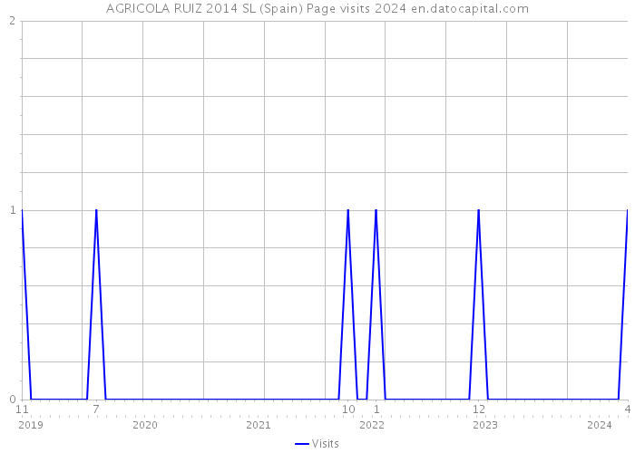 AGRICOLA RUIZ 2014 SL (Spain) Page visits 2024 