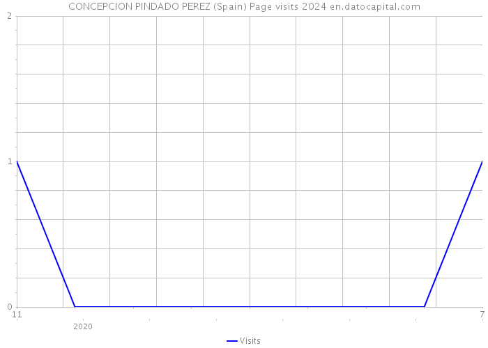 CONCEPCION PINDADO PEREZ (Spain) Page visits 2024 