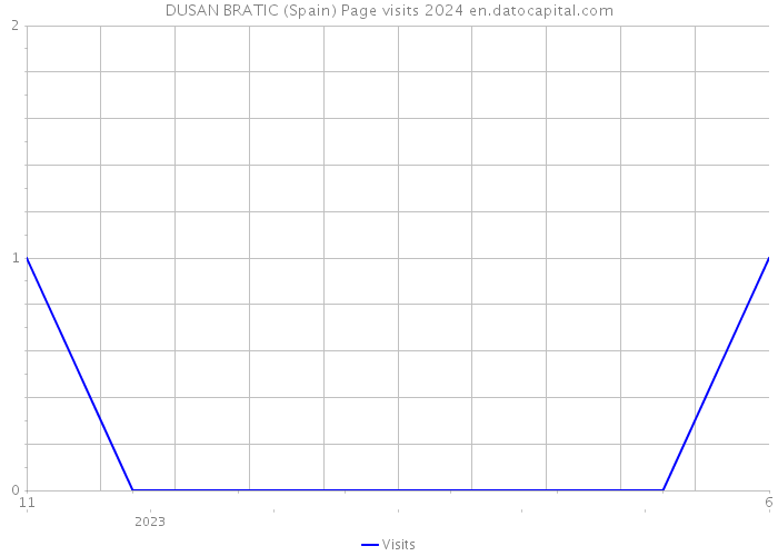 DUSAN BRATIC (Spain) Page visits 2024 