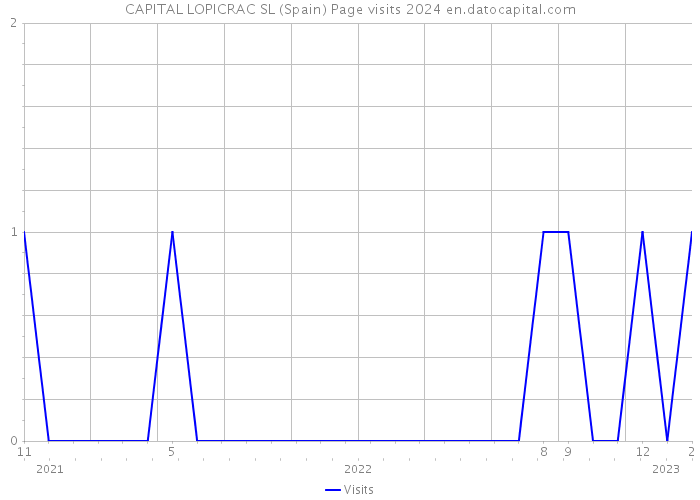 CAPITAL LOPICRAC SL (Spain) Page visits 2024 