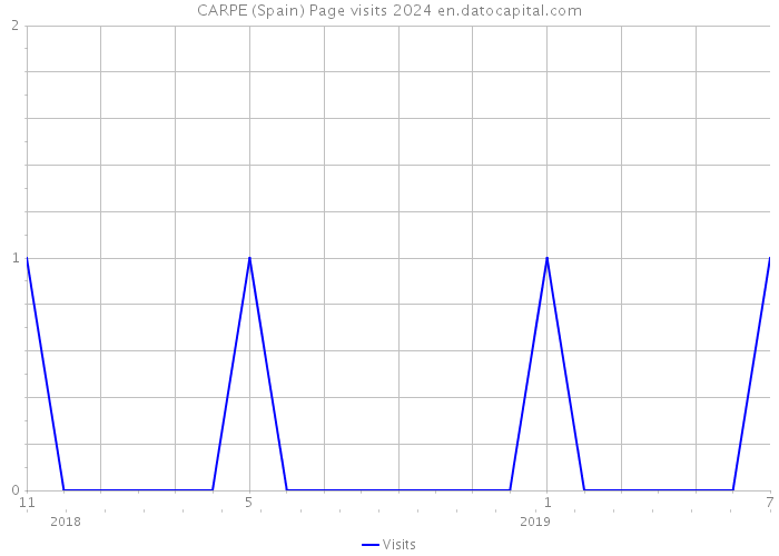 CARPE (Spain) Page visits 2024 