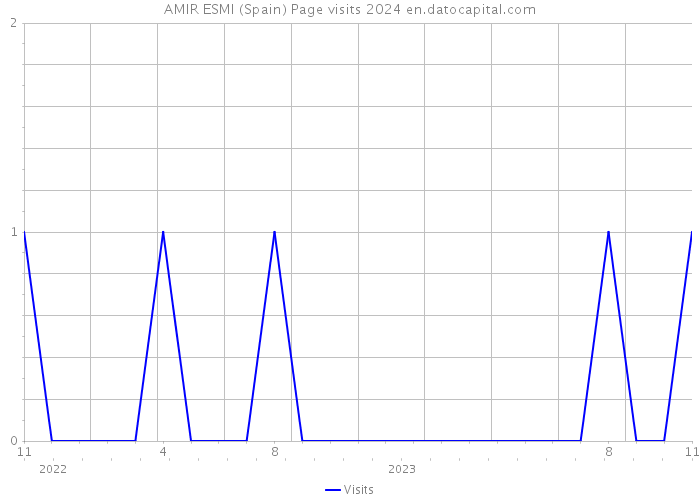 AMIR ESMI (Spain) Page visits 2024 