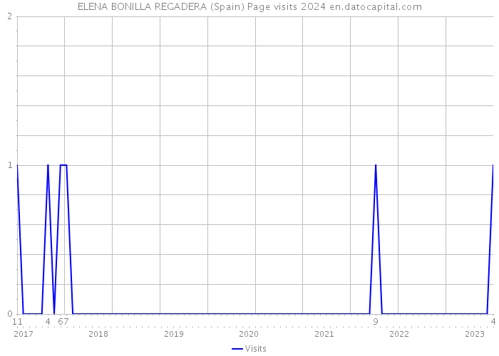 ELENA BONILLA REGADERA (Spain) Page visits 2024 