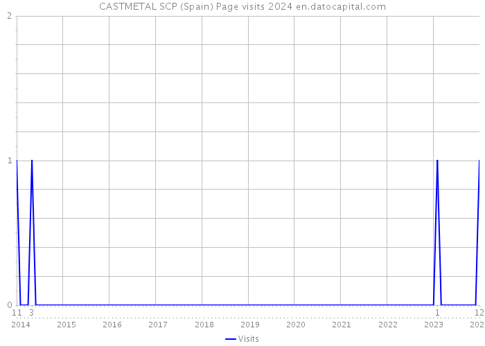 CASTMETAL SCP (Spain) Page visits 2024 