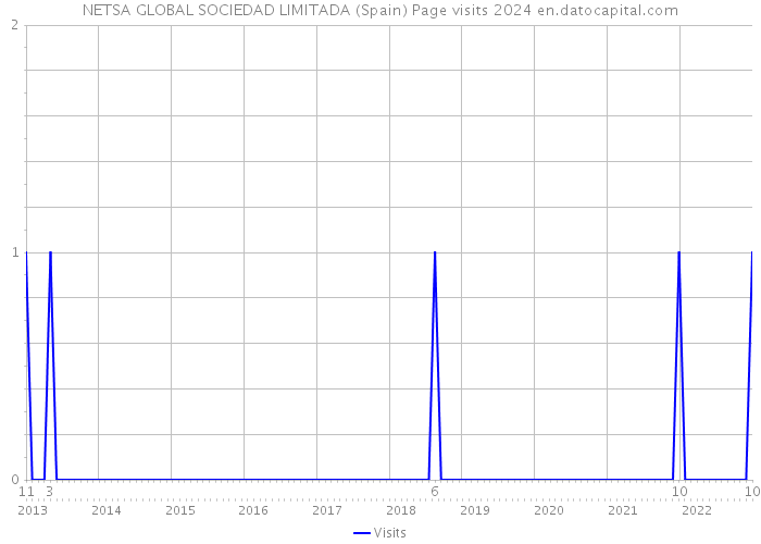 NETSA GLOBAL SOCIEDAD LIMITADA (Spain) Page visits 2024 